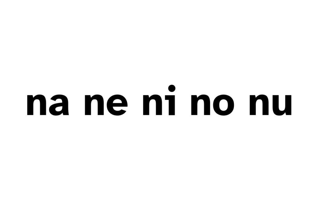 Un rectangulo solido blanco con las silabas na, ne, ni, no, nu escritas en el centro.
